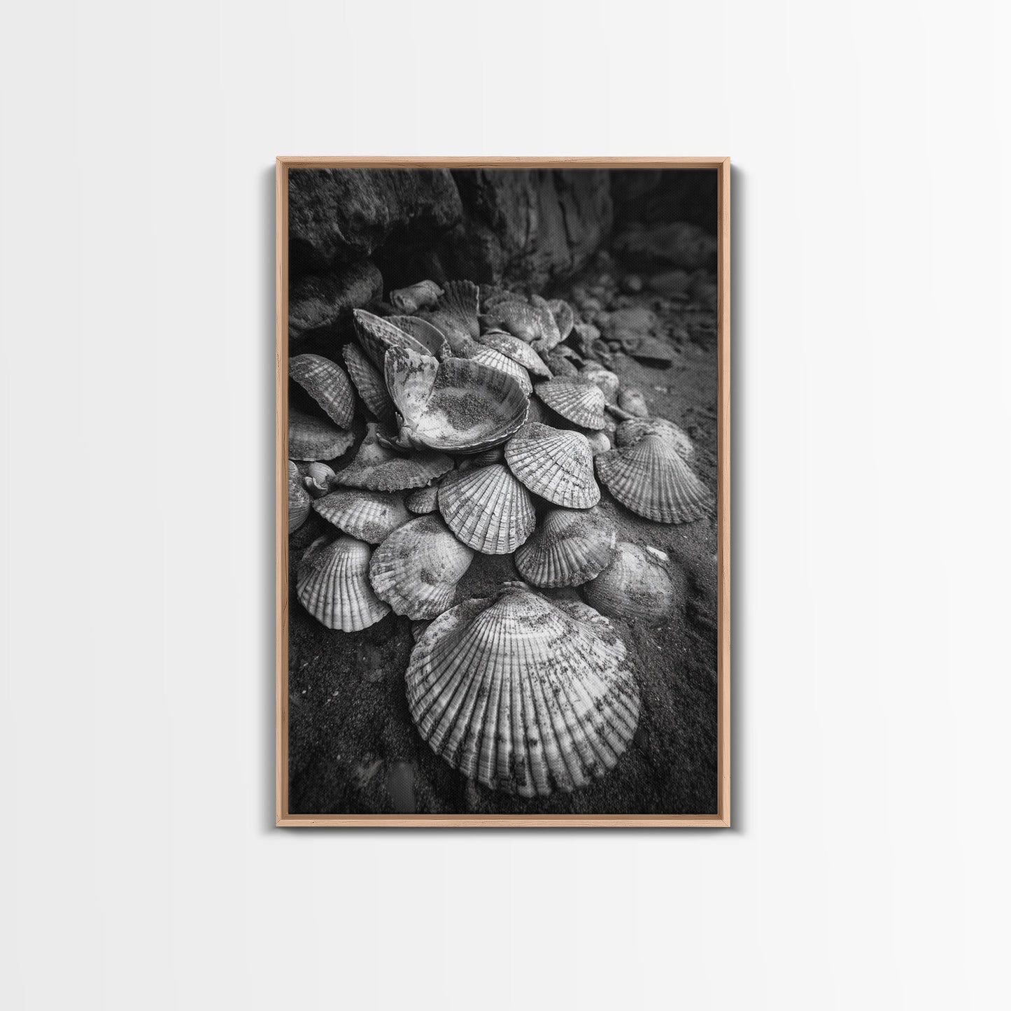 Seashell Pile, Textured Beach, Coastal Treasures, Natural Beauty Framed Canvas Print, bathroom decor, shell art, beach wall style