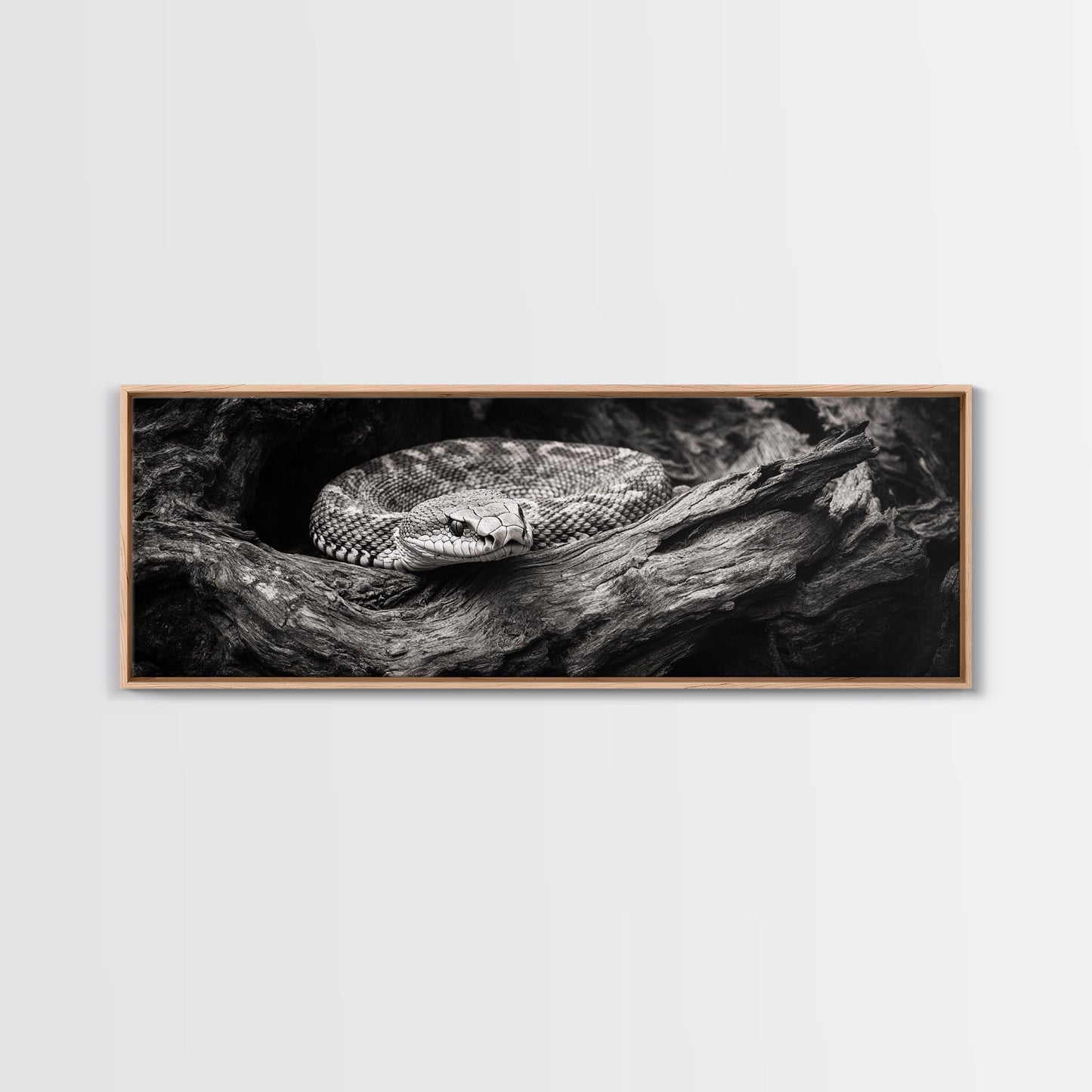 Coiled Rattlesnake, Wild Nature, Black and White, Canvas Print, Rustic Decor, Man Cave Wall Art, Cabin Style, Animal Photography, Moody Art