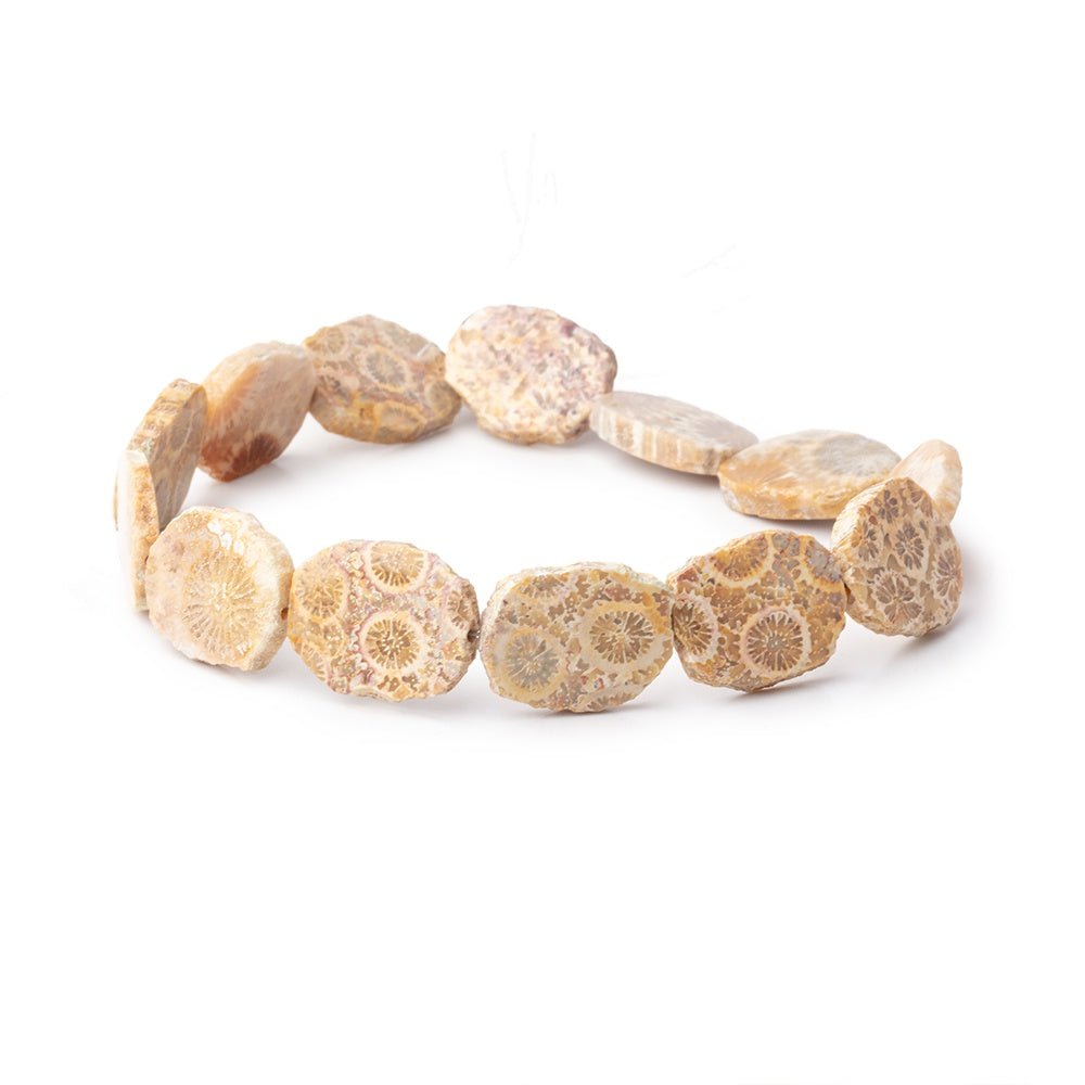 15x12mm Fossil Coral Straight Drilled Slice Beads 7.5 inch 12 pieces