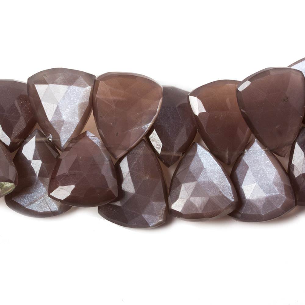15x13-19x15mm Chocolate Moonstone faceted flat trillion beads 8 inch 36 pcs