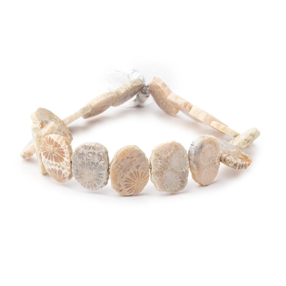 16x12mm Fossil Coral Side Drilled Slice Beads 7.5 inch 16 pieces
