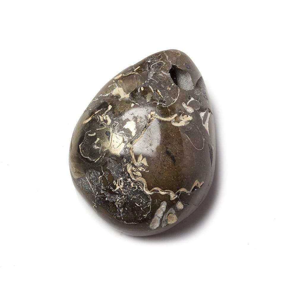 17x26mm Pyritized Ammonite Fossil Focal Bead