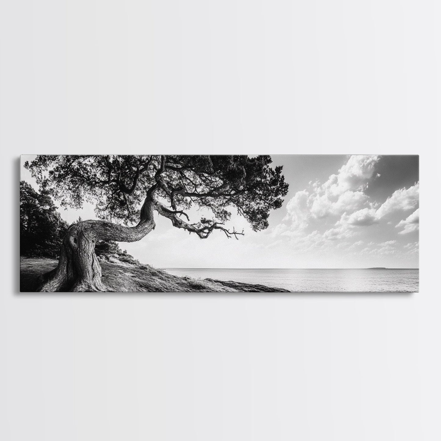 Coastal Tree, Wind Bent, Seaside Beauty, Nautical Serenity, Canvas Print, Nature Wall Art, Minimalist Decor, Coastal Living Room Art