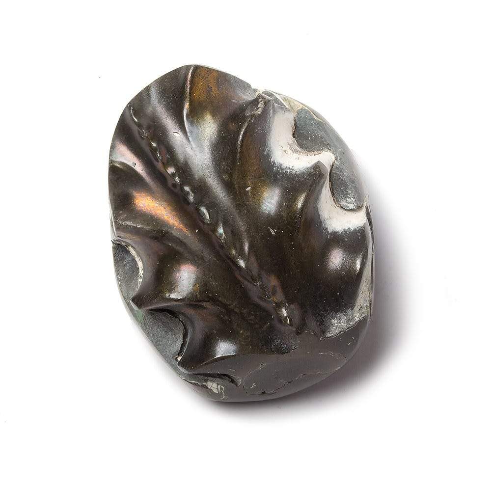 31x26mm Pyritized Ammonite Fossil Focal Bead