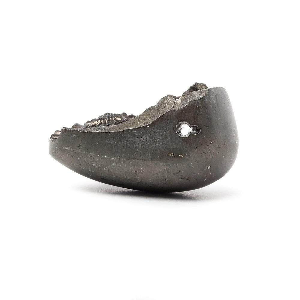 37x29mm Pyritized Ammonite Fossil Bead