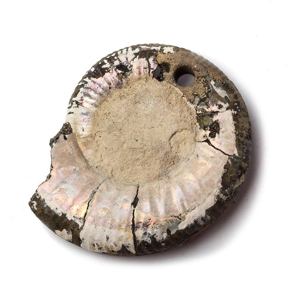 38x32mm Pyritized Ammonite Fossil Focal Bead