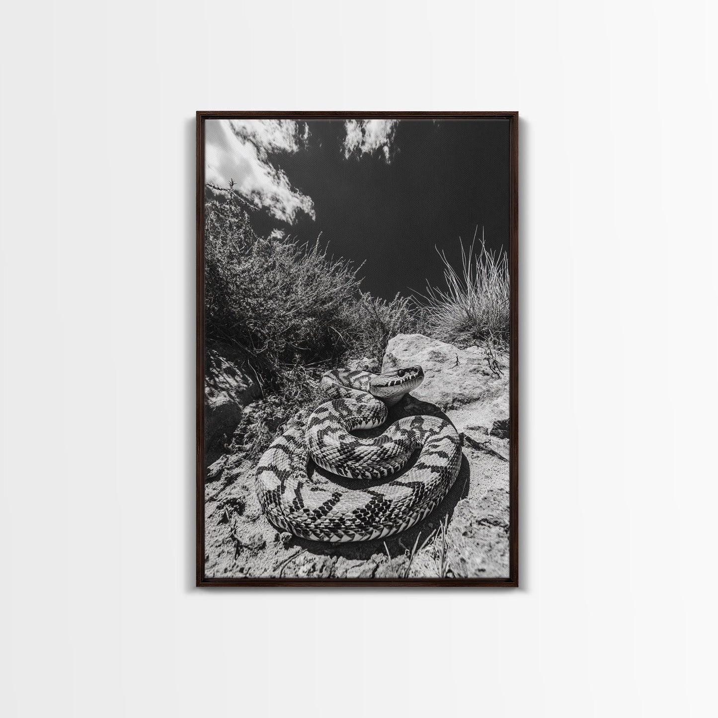 Coiled Snake, Desert Predator, Wild Reptile, Framed Canvas Print, Nature Wildlife Art, Den or Office Decor, Monochrome Animal Photography
