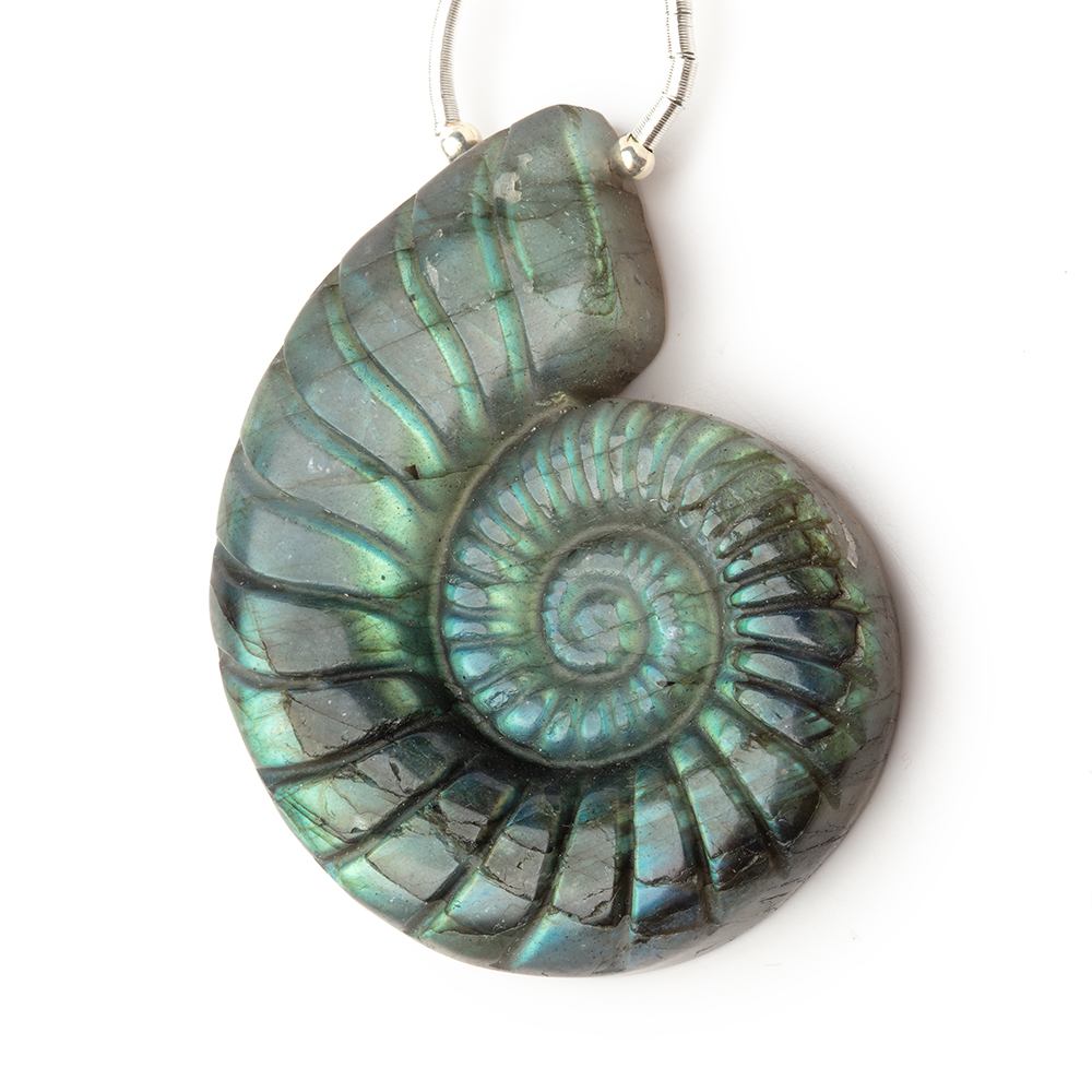 45x34mm Labradorite Carved Ammonite Shaped Focal 1 Pendant