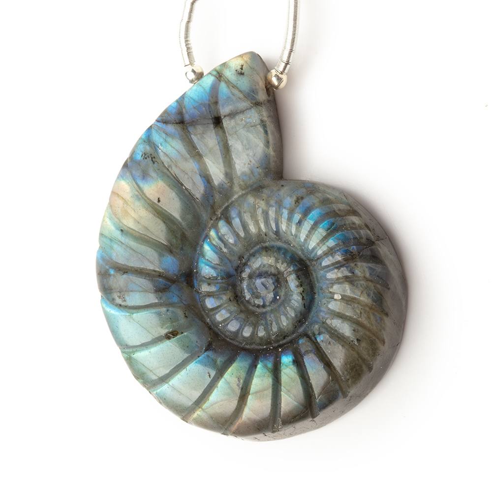 45x37mm Labradorite Carved Ammonite Shaped Focal 1 Pendant