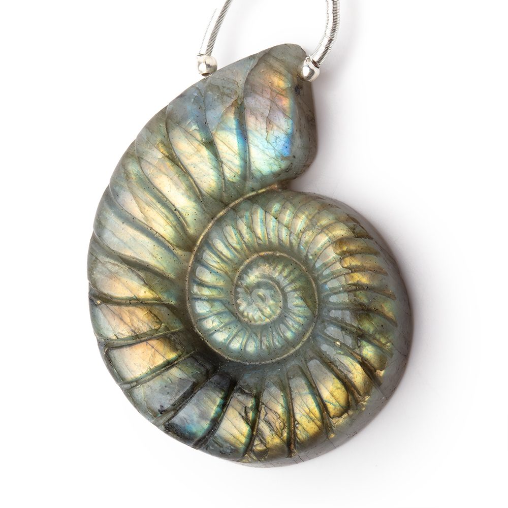 46.5x35.5mm Labradorite Carved Ammonite Shaped Focal 1 Pendant