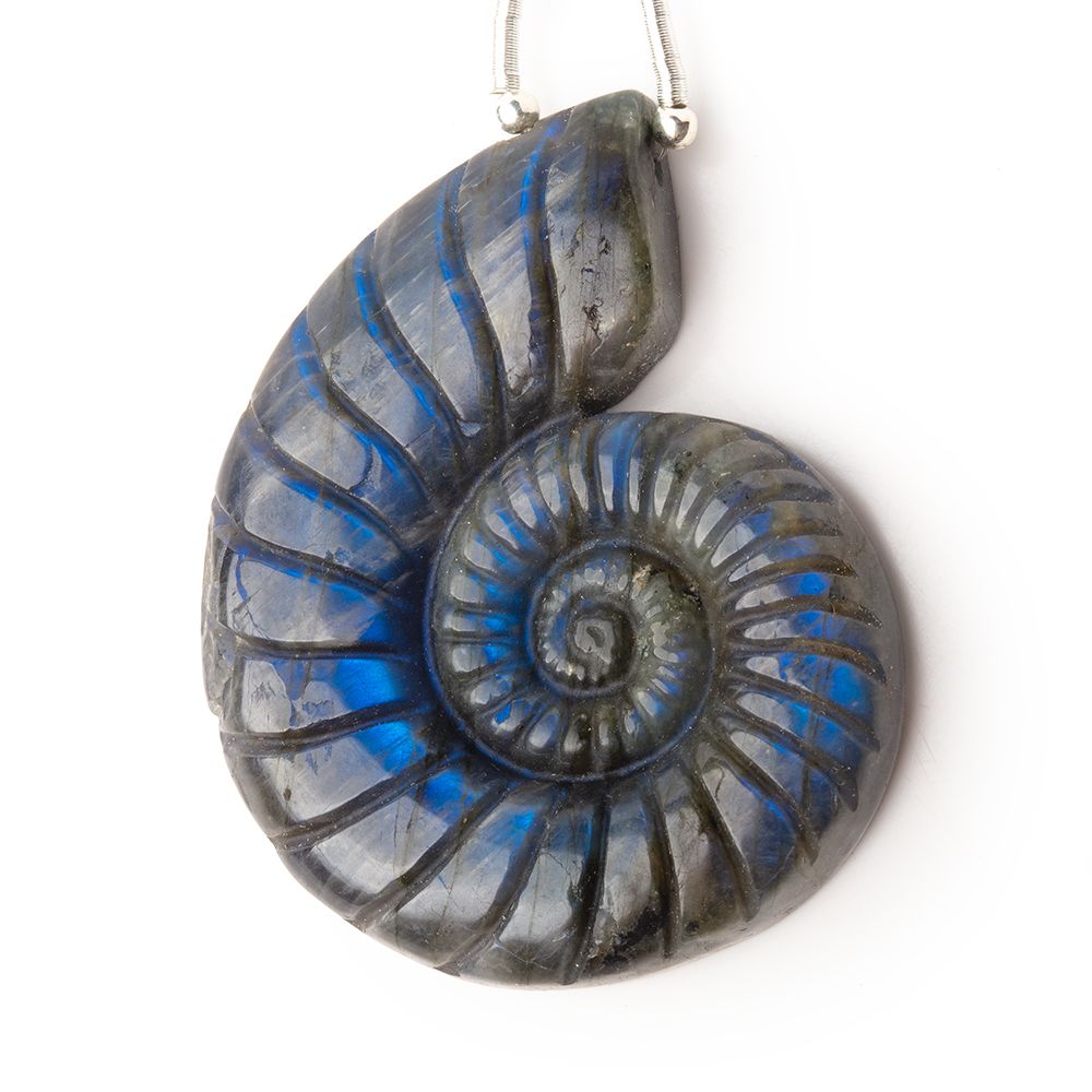 46.5x36.5mm Labradorite Carved Ammonite Shaped Pendant 1 Focal