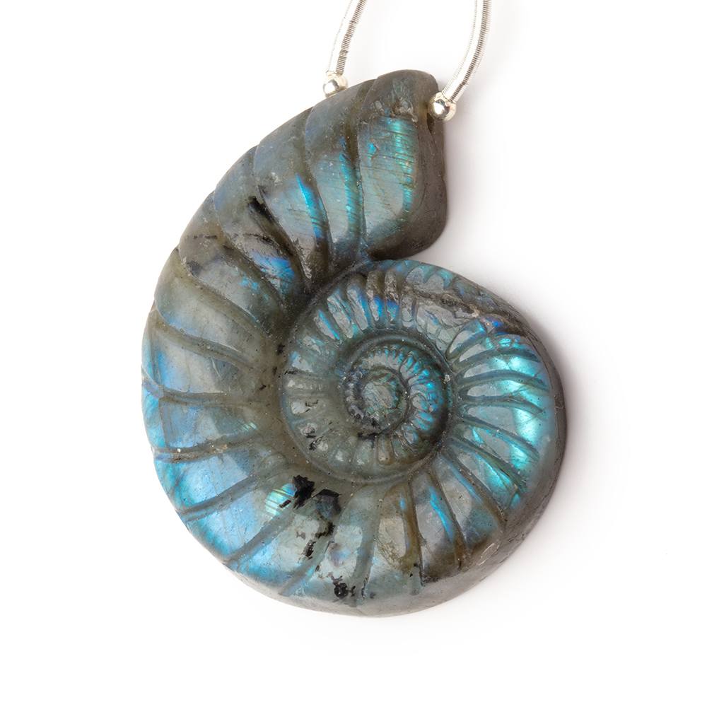 46.5x37mm Labradorite Carved Ammonite Shaped Pendant 1 piece