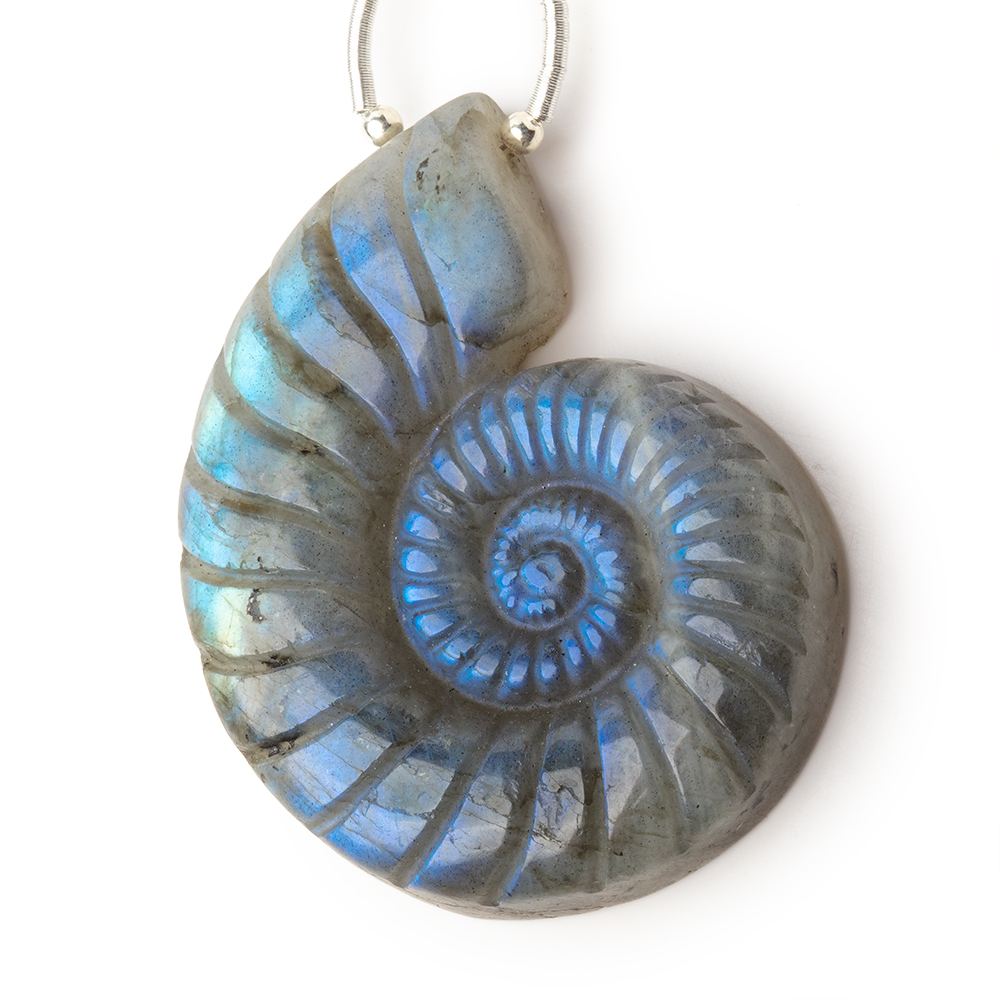 47x36mm Labradorite Carved Ammonite Shaped Focal 1 Pendant