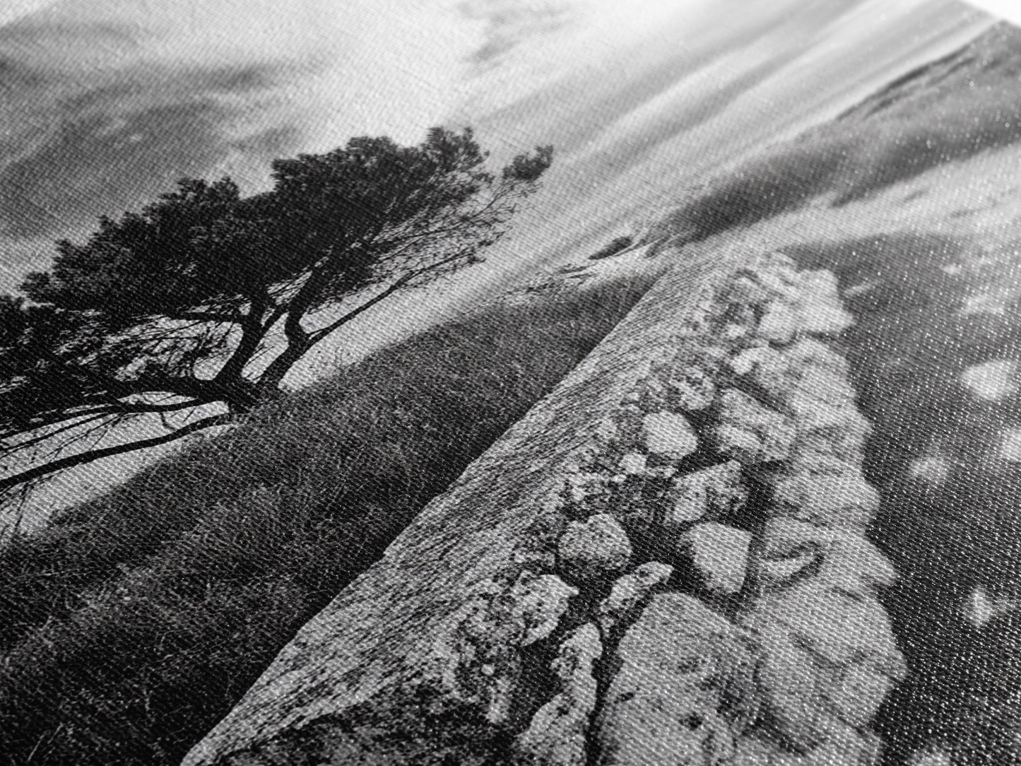 Coastal Path, Nature Trail, Windswept Tree, Framed Canvas Print, Rustic Landscape Art, Minimalist Decor, Bedroom Wall Art, Fall Vibes