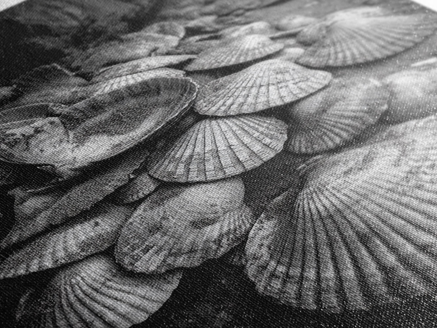 Seashell Pile, Textured Beach, Coastal Treasures, Natural Beauty Framed Canvas Print, bathroom decor, shell art, beach wall style