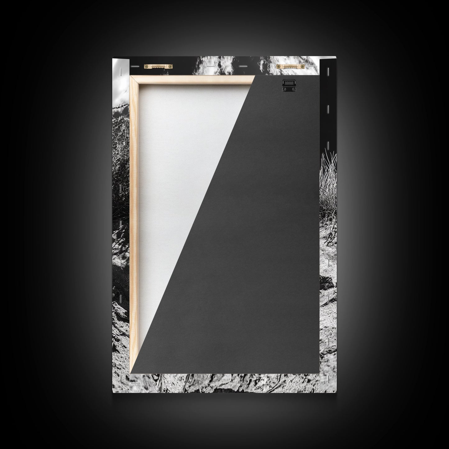 Coiled Snake, Desert Predator, Wild Reptile, Framed Canvas Print, Nature Wildlife Art, Den or Office Decor, Monochrome Animal Photography