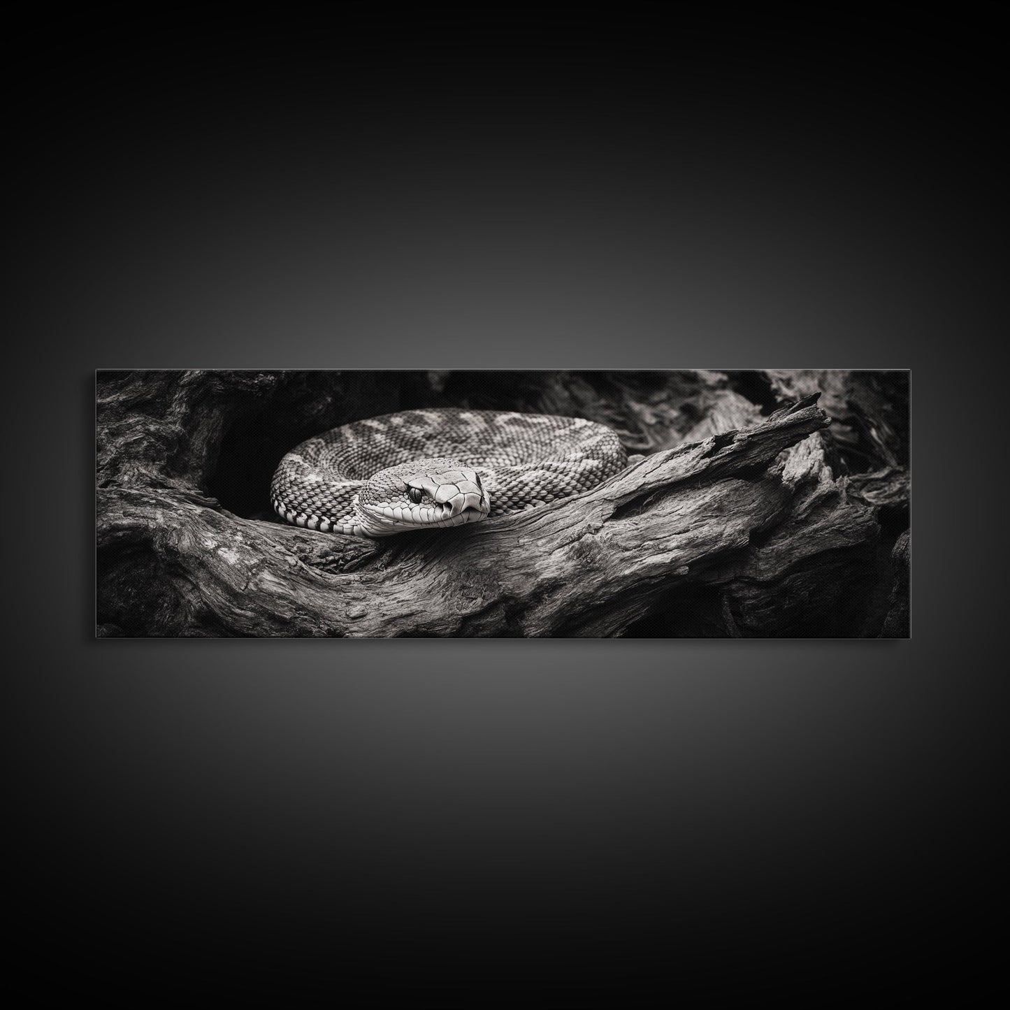 Coiled Rattlesnake, Wild Nature, Black and White, Canvas Print, Rustic Decor, Man Cave Wall Art, Cabin Style, Animal Photography, Moody Art