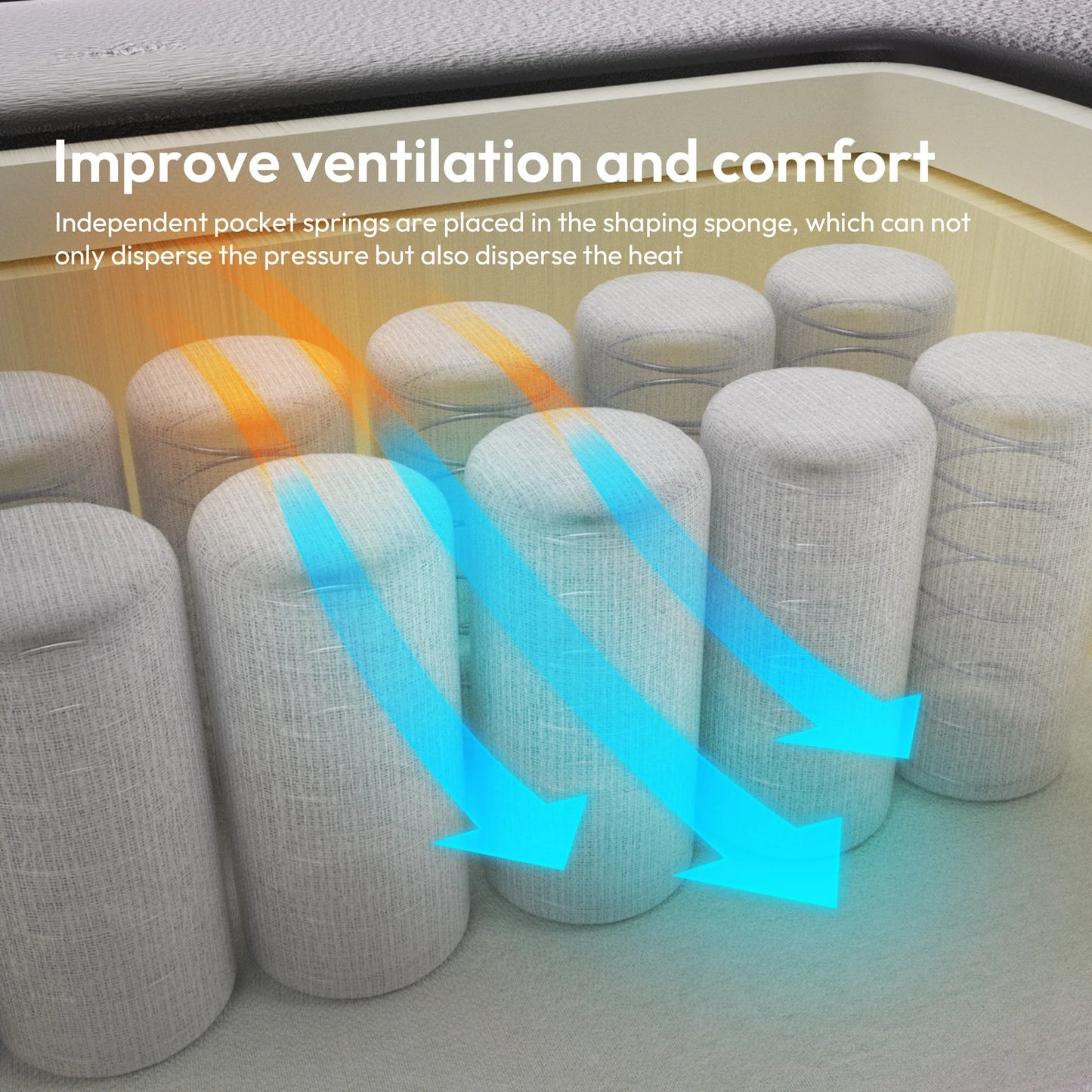 S34ed2fa6a6504128907d1d7ea5352afah