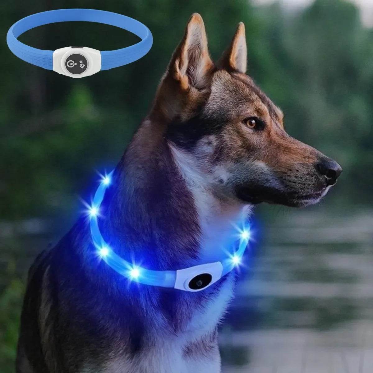 LED Waterproof Dog Collar for Night Safety and Visibility