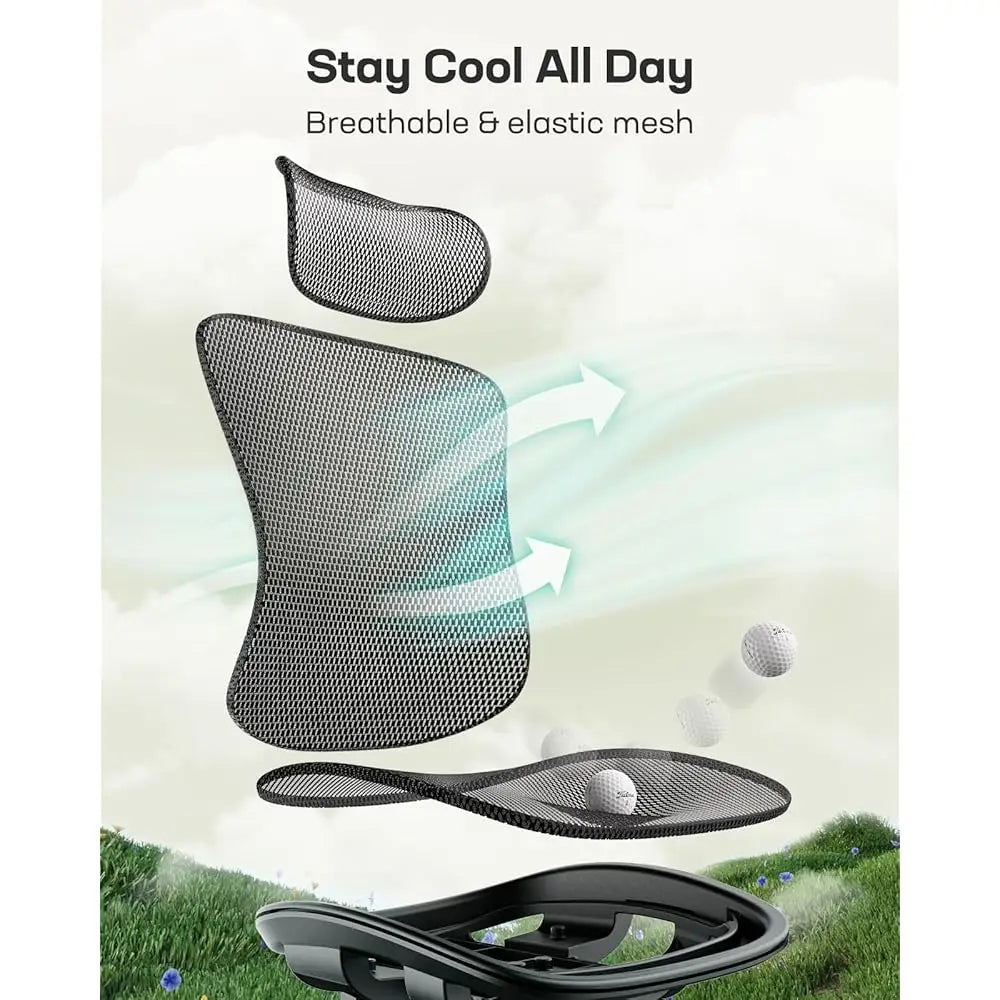 Ergonomic Mesh Office Chair: Mesh Computer Desk Chair with Adjustable Lumbar Support, 2D Headrest & up and down Armrest,