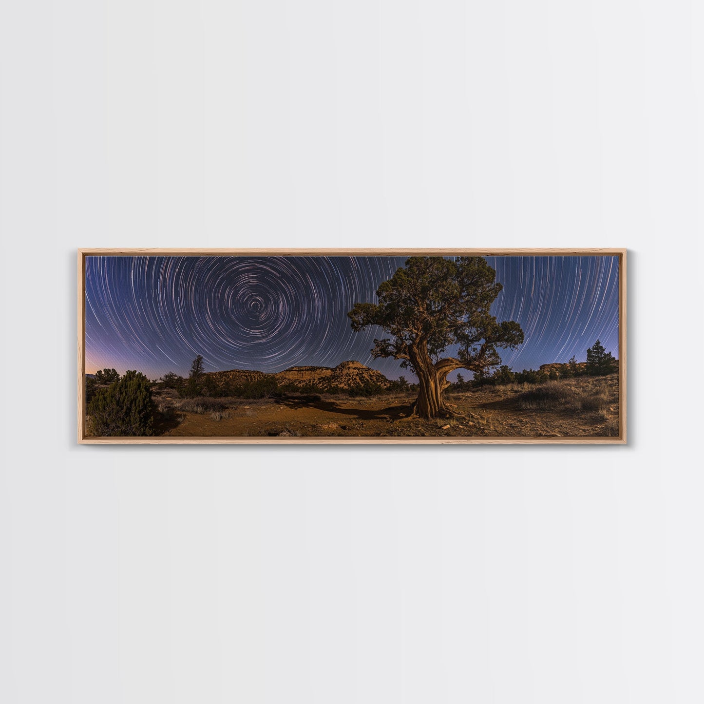 Time Lapse Photography Style Print, Panoramic Wall Art, Starry Night Sky Photo Print, Joshua Tree