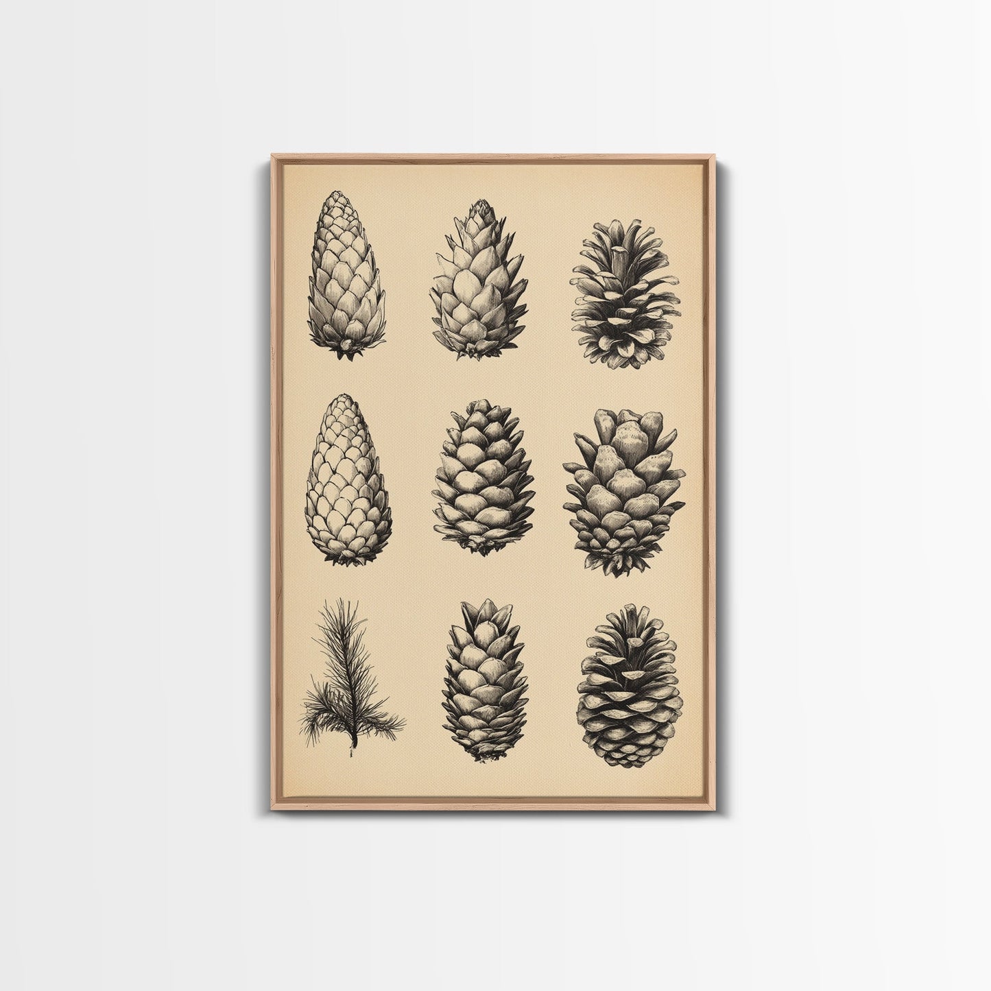 Vintage Pinecones Canvas Print - Framed Canvas - Minimalist Christmas Art - Boho Christmas Art - Rustic Christmas Art