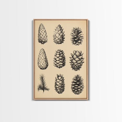 Vintage Pinecones Canvas Print - Framed Canvas - Minimalist Christmas Art - Boho Christmas Art - Rustic Christmas Art