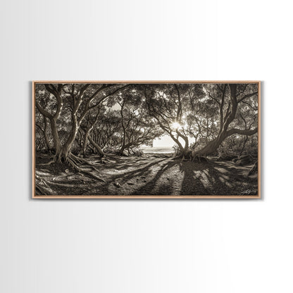 Verzauberter Wald – Licht, Baumschatten, Naturlandschaft, gerahmter Leinwanddruck, rustikale Wandkunst, Walddeko für den Eingangsbereich, Boho-Walddruck