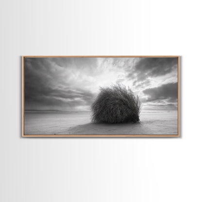 Tumbleweed, Desert Beach, Moody Sky, Solitary Calm, Framed Canvas Print, minimalist desert wall art, western Fall decor, neutral tones
