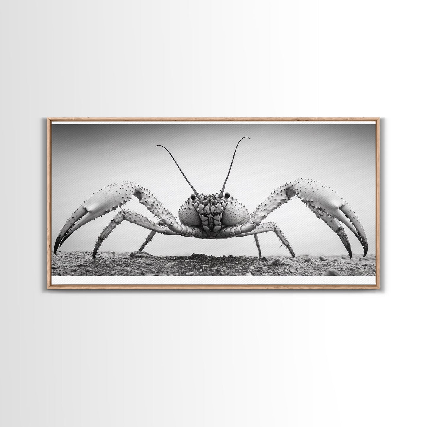Crab Art, Beach Creature, Monochrome Photography, Nature Close-Up, Framed Canvas Print, Coastal Bathroom Art, Marine Home Style