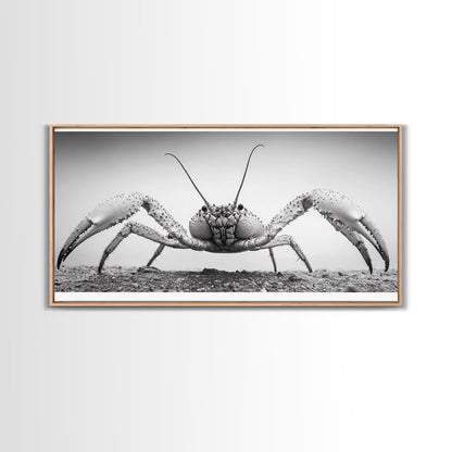 Crab Art, Beach Creature, Monochrome Photography, Nature Close-Up, Framed Canvas Print, Coastal Bathroom Art, Marine Home Style