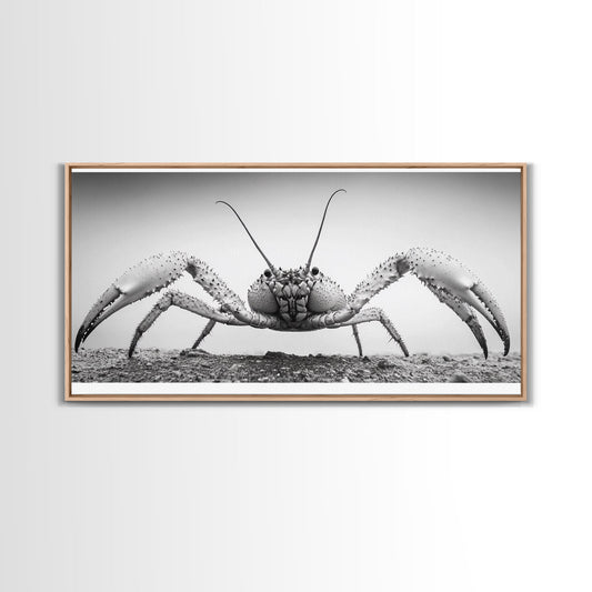 Crab Art, Beach Creature, Monochrome Photography, Nature Close-Up, Framed Canvas Print, Coastal Bathroom Art, Marine Home Style