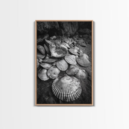 Seashell Pile, Textured Beach, Coastal Treasures, Natural Beauty Framed Canvas Print, bathroom decor, shell art, beach wall style