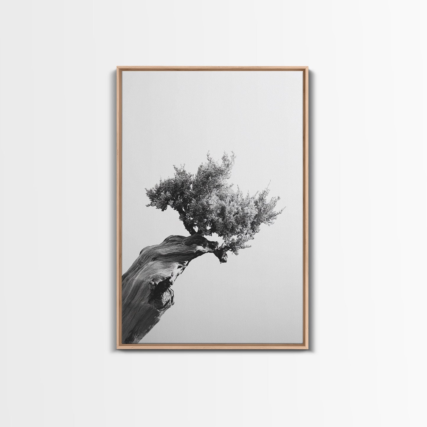 Bonsai Tree, Windswept Wood, Minimal Zen, Canvas Print, Japanese Style Art, Wabi Sabi Decor, Monochrome Botanical Wall Accent