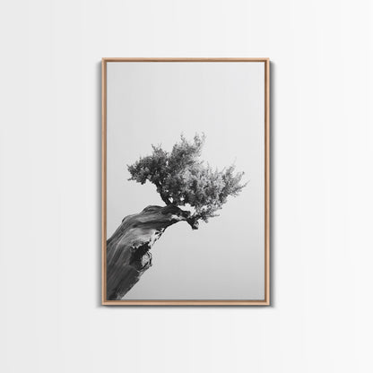 Bonsai Tree, Windswept Wood, Minimal Zen, Canvas Print, Japanese Style Art, Wabi Sabi Decor, Monochrome Botanical Wall Accent