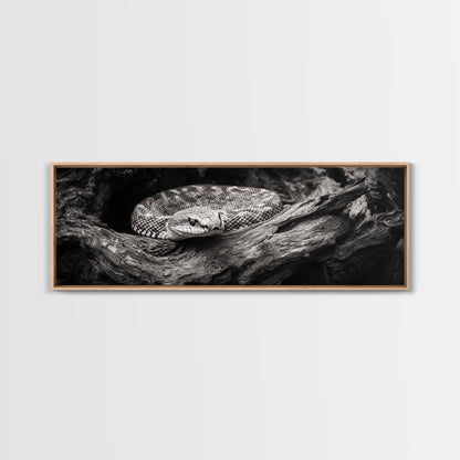 Coiled Rattlesnake, Wild Nature, Black and White, Canvas Print, Rustic Decor, Man Cave Wall Art, Cabin Style, Animal Photography, Moody Art