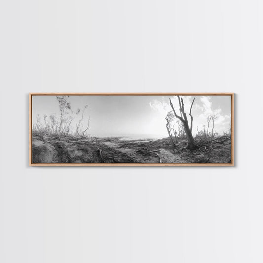 Windswept Coastal Trees, Driftwood Beach Landscape, Black White Canvas Print, Autumn Wall Art, Nature-Inspired Living Room Decor