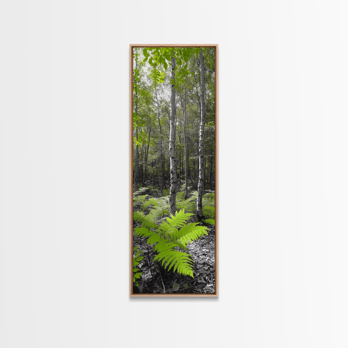 Birch Tree Forest, Green Ferns, Nature Escape, Framed Canvas Print, Botanical Art, Eco Wall Decor, Zen Forest Scene, Serene Living Room