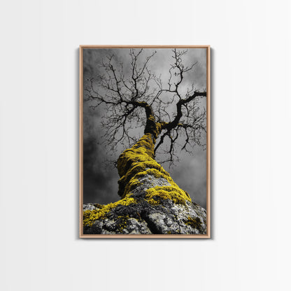 Moss Covered Tree, Dramatic Nature Scene, Autumn Forest Decor, Moody Woodland Art, Framed Canvas Print, Rustic Living Room Wall Art