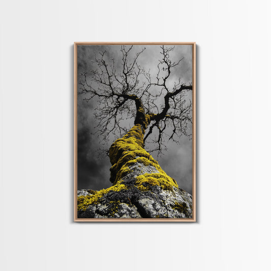 Moss Covered Tree, Dramatic Nature Scene, Autumn Forest Decor, Moody Woodland Art, Framed Canvas Print, Rustic Living Room Wall Art