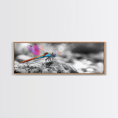 Neon Dragonfly, Nature Insect, Color Burst, Macro Beauty — Framed Canvas Print, Modern Boho Art, Bedroom Wall Art, Nature Photography