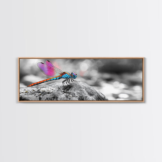 Neon Dragonfly, Nature Insect, Color Burst, Macro Beauty — Framed Canvas Print, Modern Boho Art, Bedroom Wall Art, Nature Photography