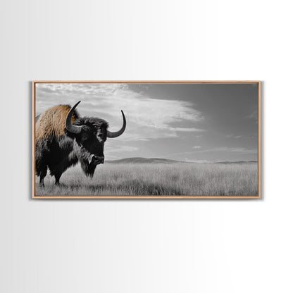 Büffel-Wandbild auf Leinwand | Rustikale Landhausdeko | Western-Landschaftskunst | Stimmungsvolles Wandbild | Extra breites Bild | Geschenk für Naturliebhaber