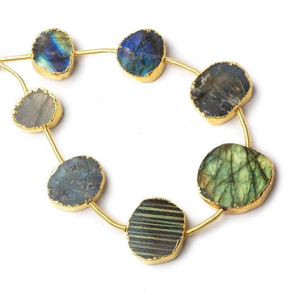 12x8-20x18mm Gold Leafed Labradorite Slice Strand 7 inch 7 beads