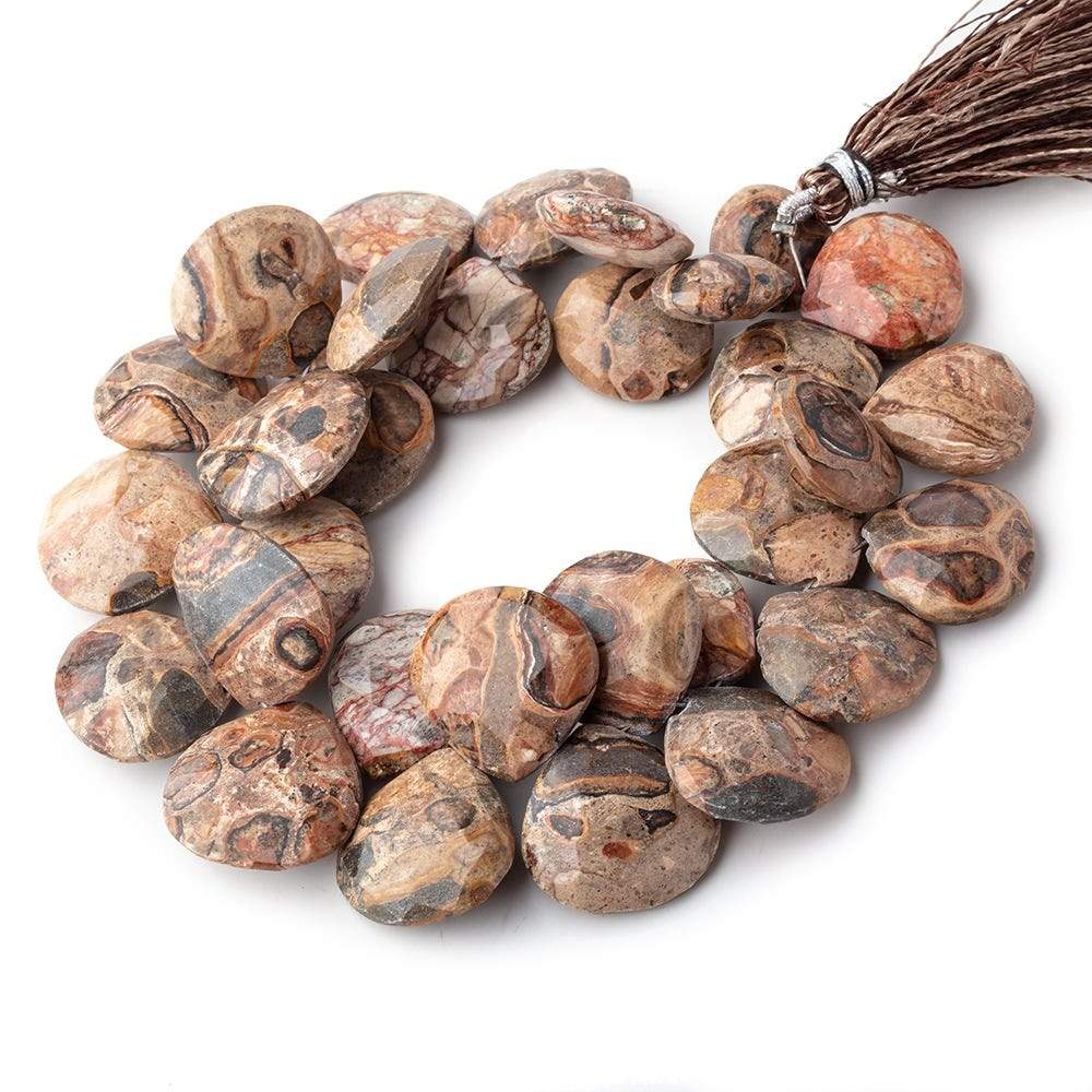 13-20mm Bird's Eye Jasper Faceted Heart Beads 8 inch 31 pieces