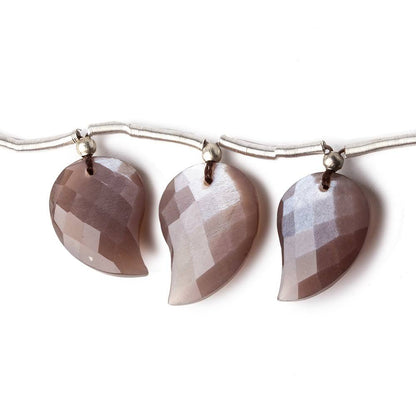 13x10-16x12mm Chocolate Brown Moonstone faceted leaf strand 11 beads AAA