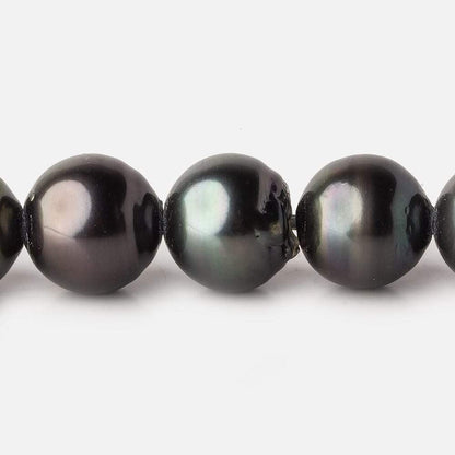14-14.5mm Silver Peacock Tahitian Large Hole Saltwater Pearls 4 inch 7 pieces