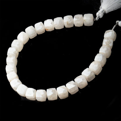 8x8mm Silverite Sapphire faceted Cube beads 8 inch 26 pcs A