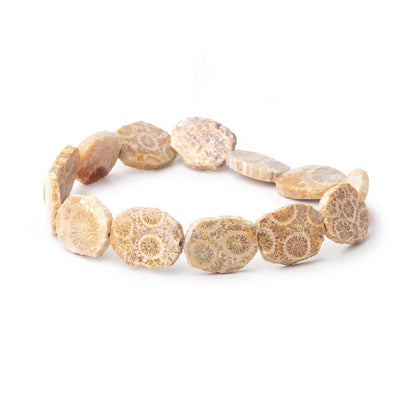 15x12mm Fossil Coral Straight Drilled Slice Beads 7.5 inch 12 pieces
