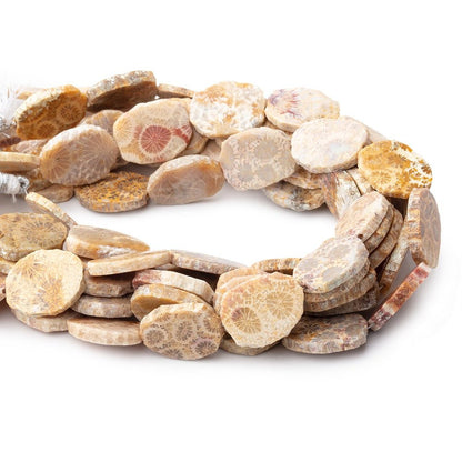 15x12mm Fossil Coral Straight Drilled Slice Beads 7.5 inch 12 pieces